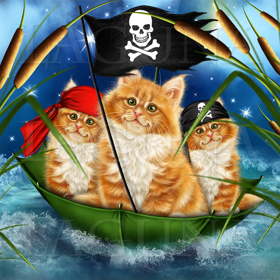 Pirate Kitty
