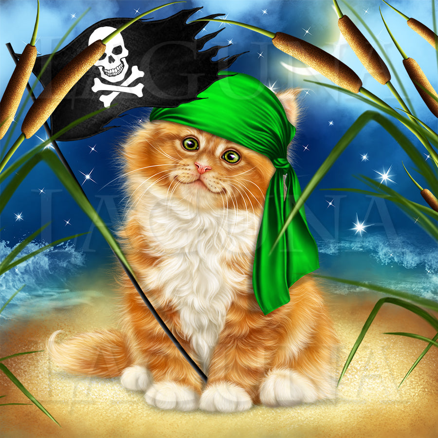 Pirate Kitty