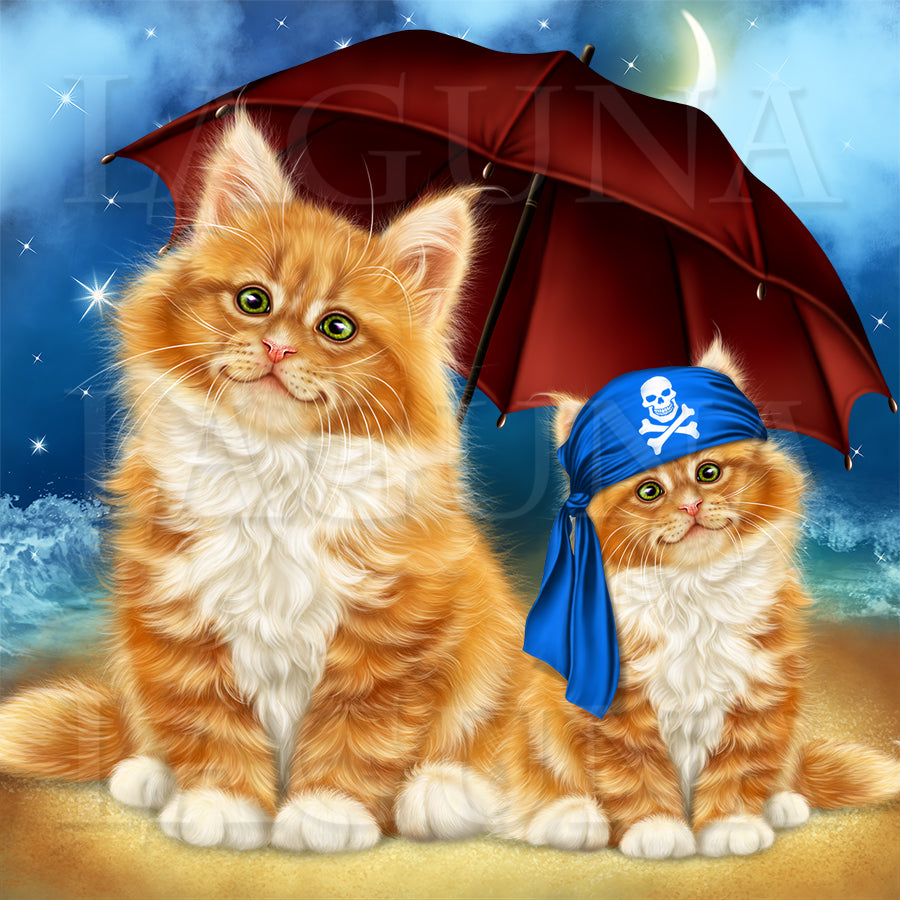 Pirate Kitty
