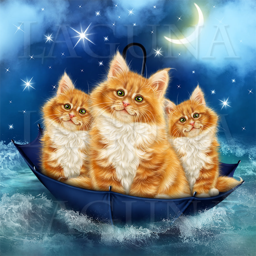 Pirate Kitty