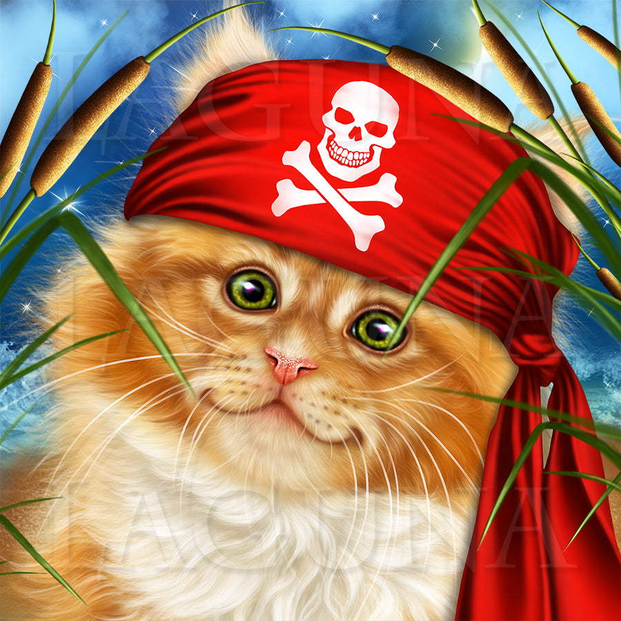 Pirate Kitty