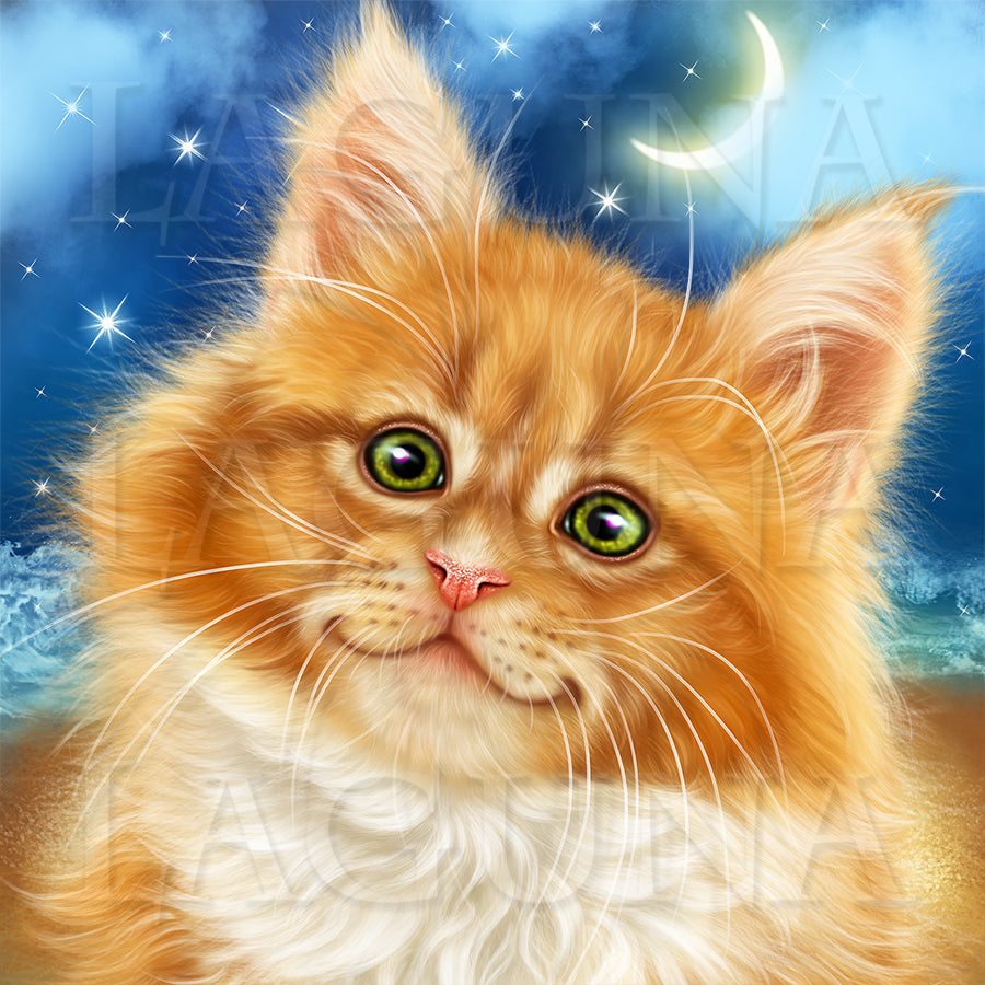 Pirate Kitty