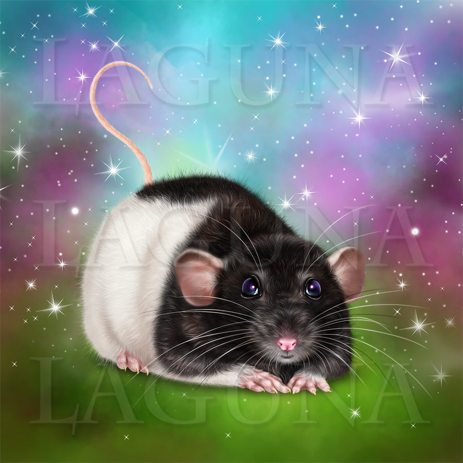 Playful Mouse
