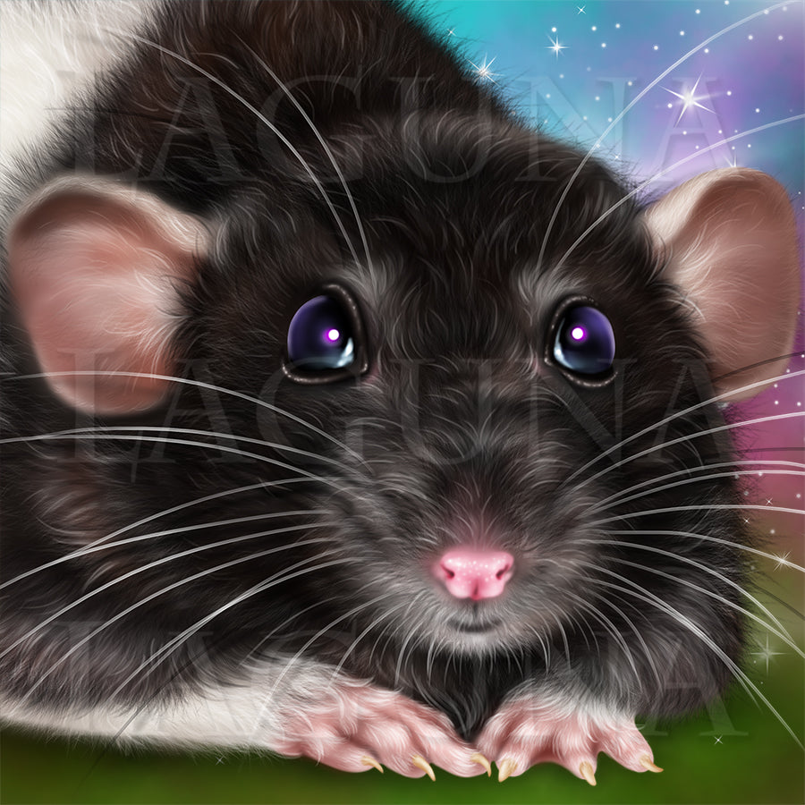 Playful Mouse