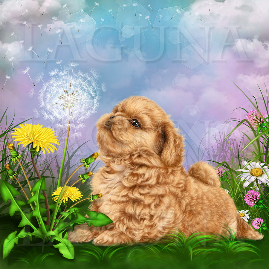 Puppy and Dandelion