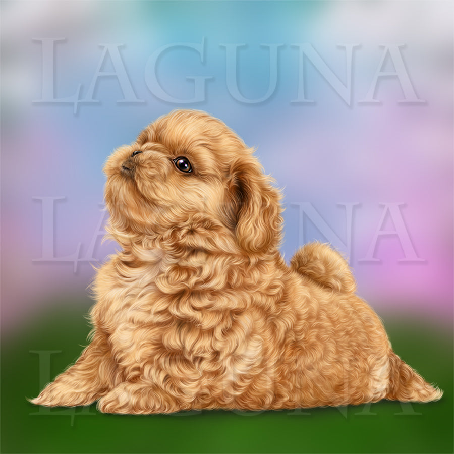 Puppy and Dandelion