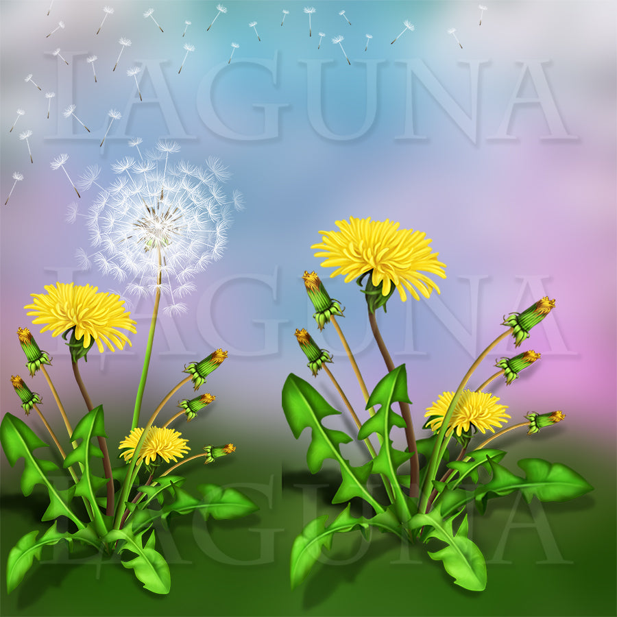 Puppy and Dandelion