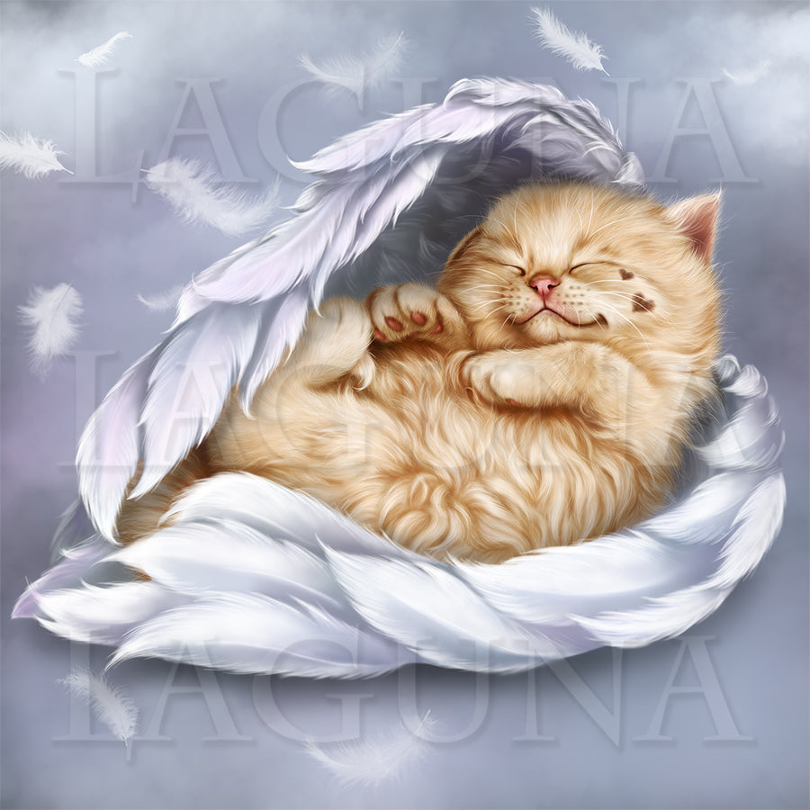 Sleeping Beauty (Kitten)