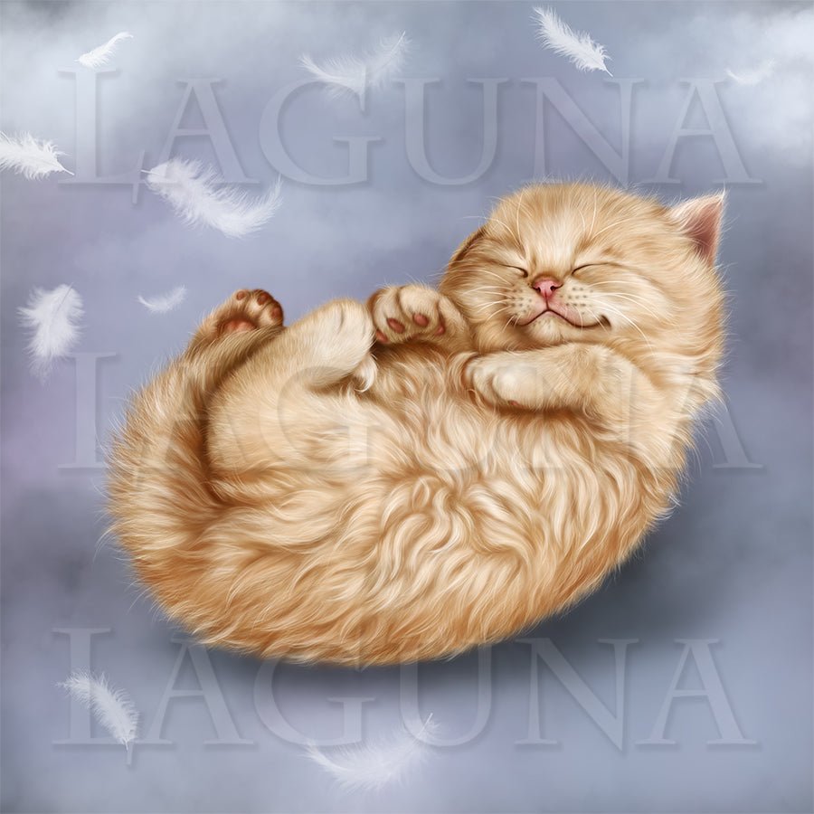Sleeping Beauty (Kitten)