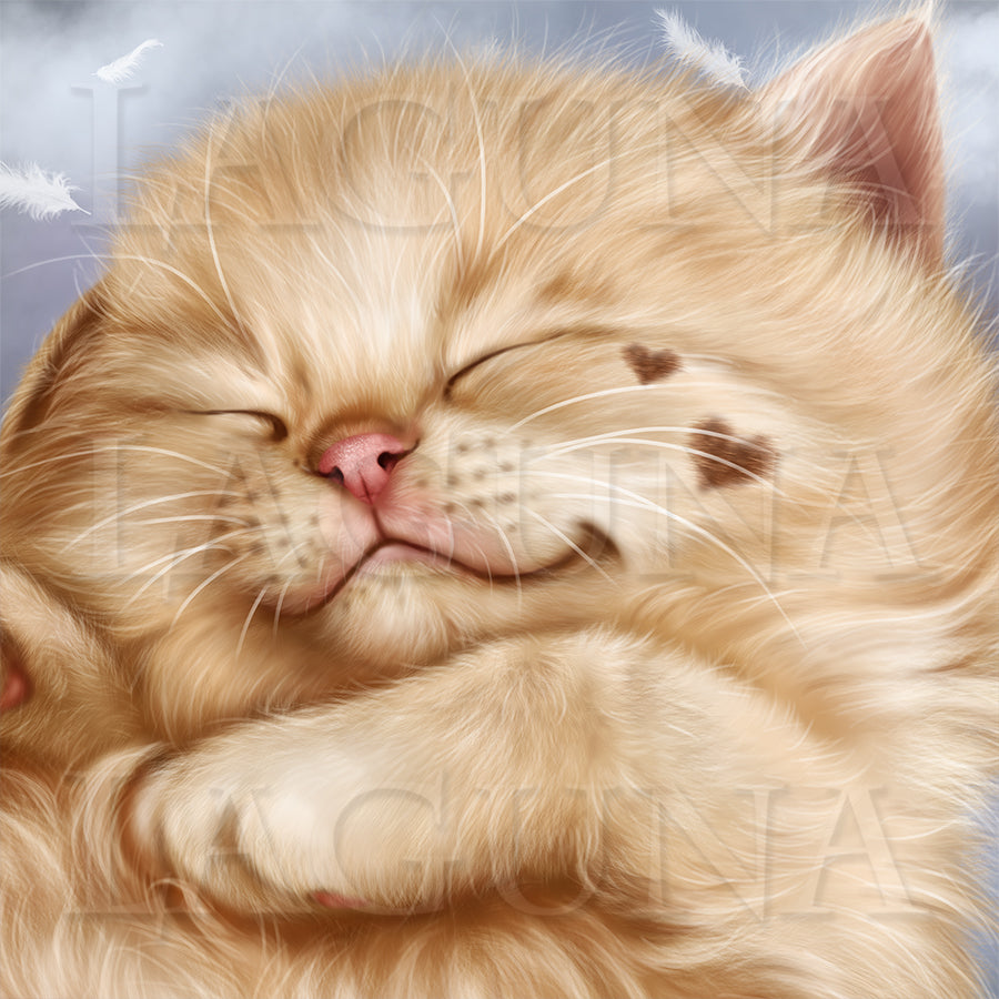 Sleeping Beauty (Kitten)