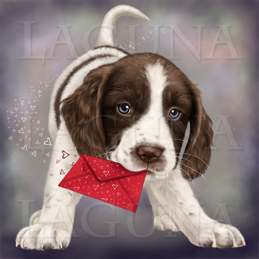 Spaniel Puppy