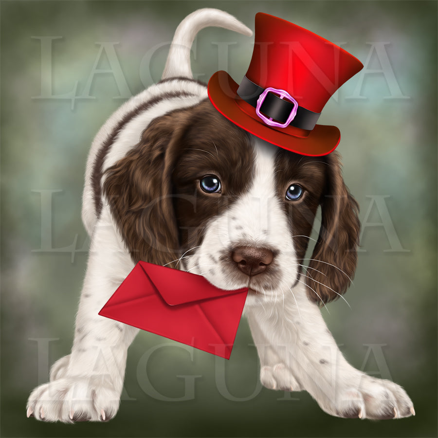 Spaniel Puppy