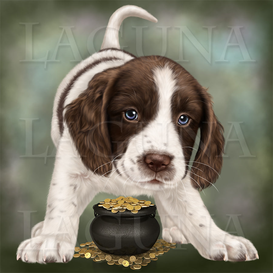 Spaniel Puppy