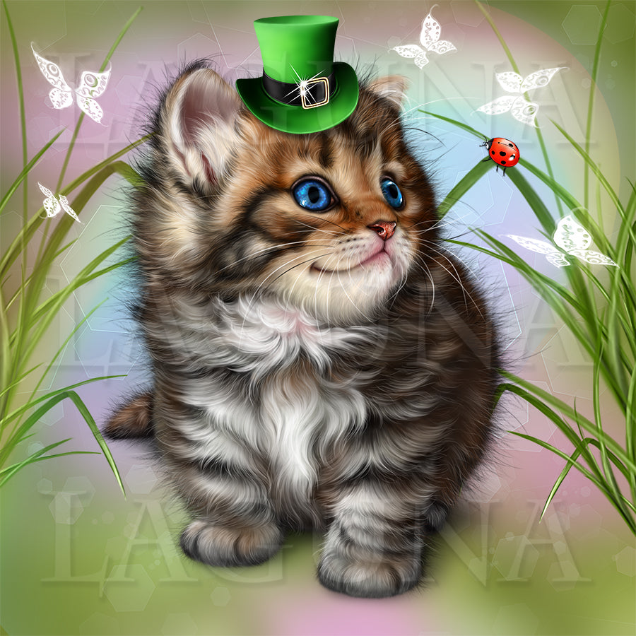 Spring Kitten