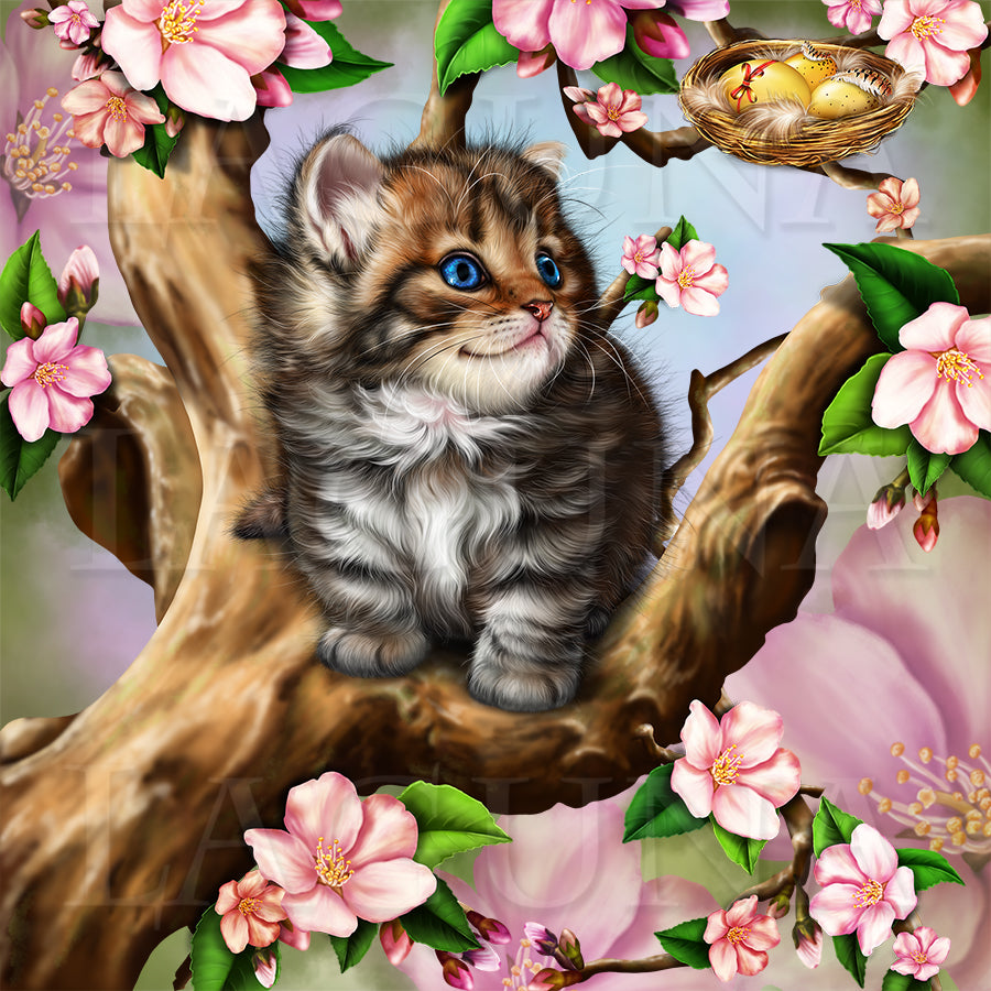 Spring Kitten