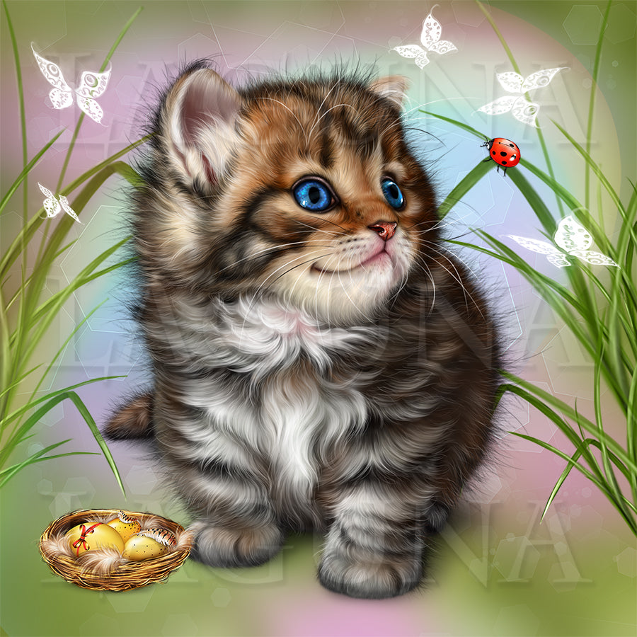 Spring Kitten