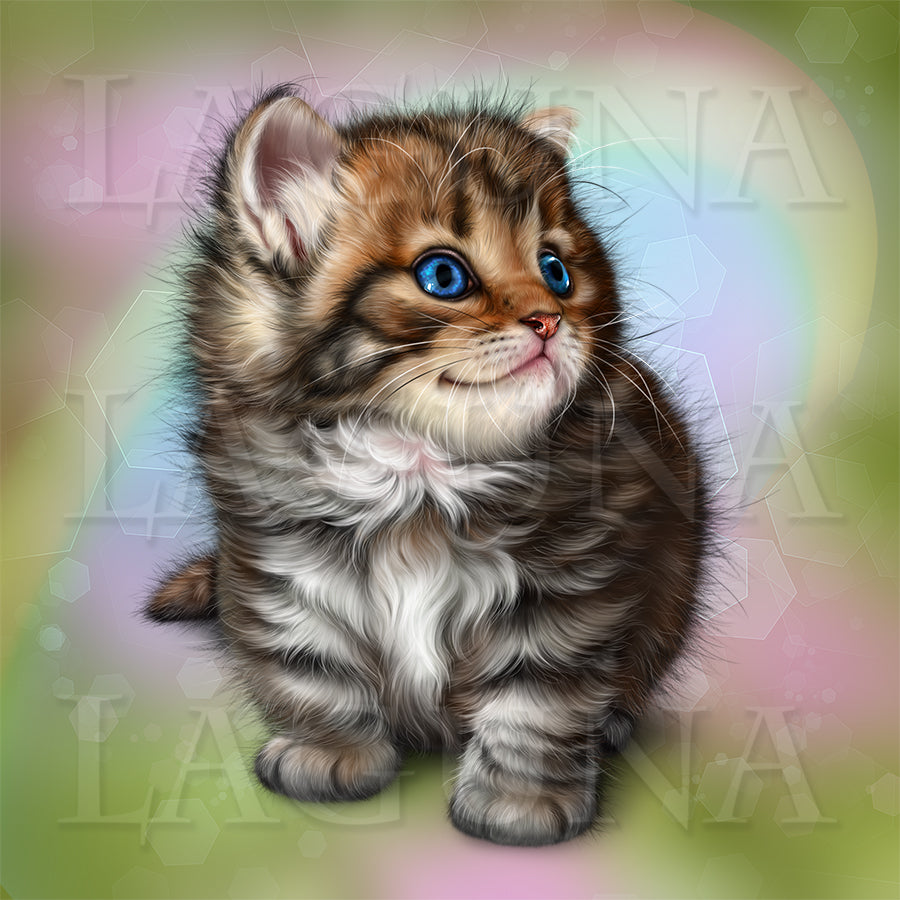 Spring Kitten