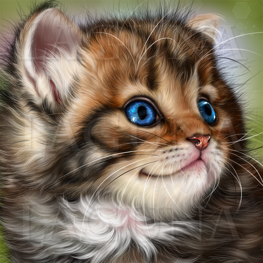Spring Kitten