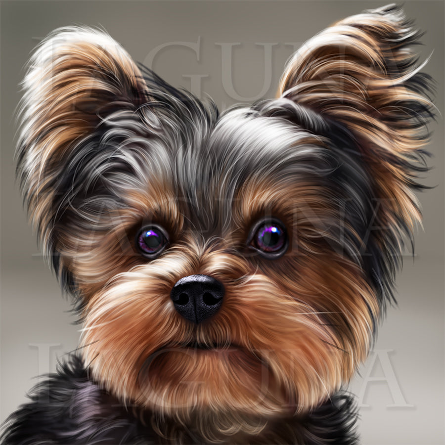 Steampunk Yorkie