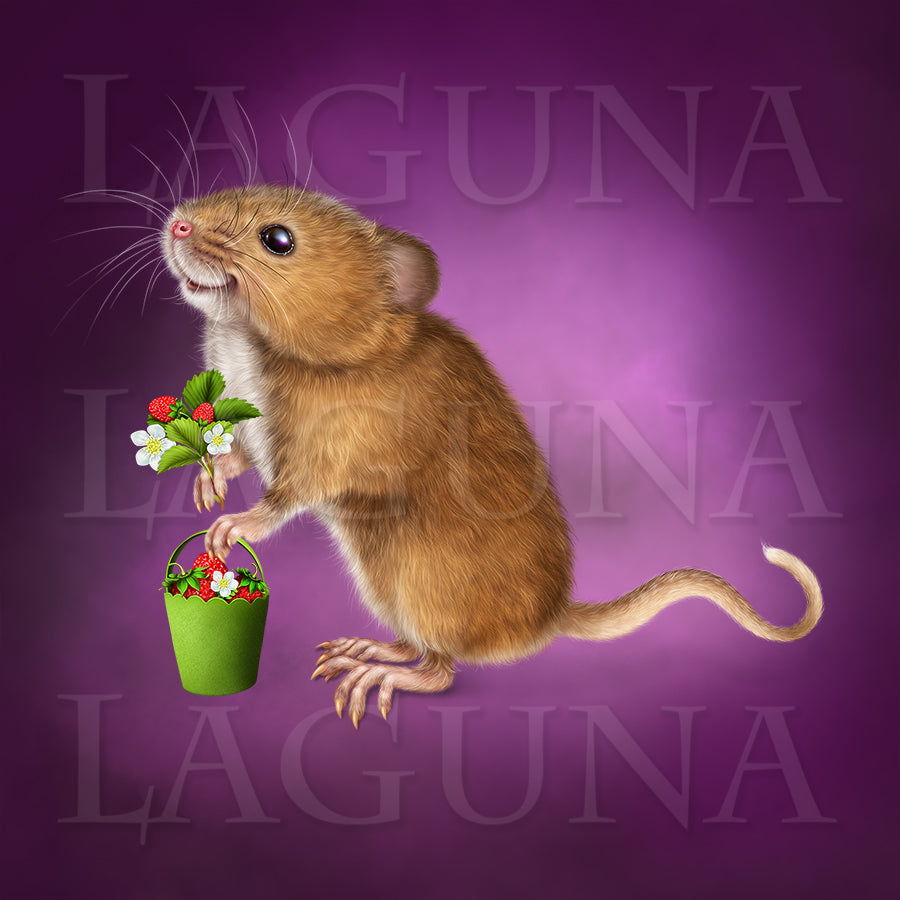 Strawberry Fairy with a Mouse