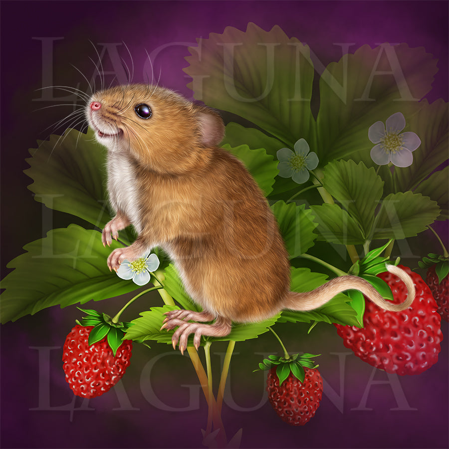 Strawberry Fairy with a Mouse