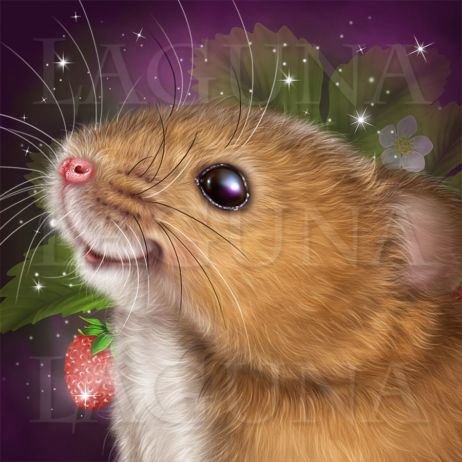 Strawberry Fairy with a Mouse