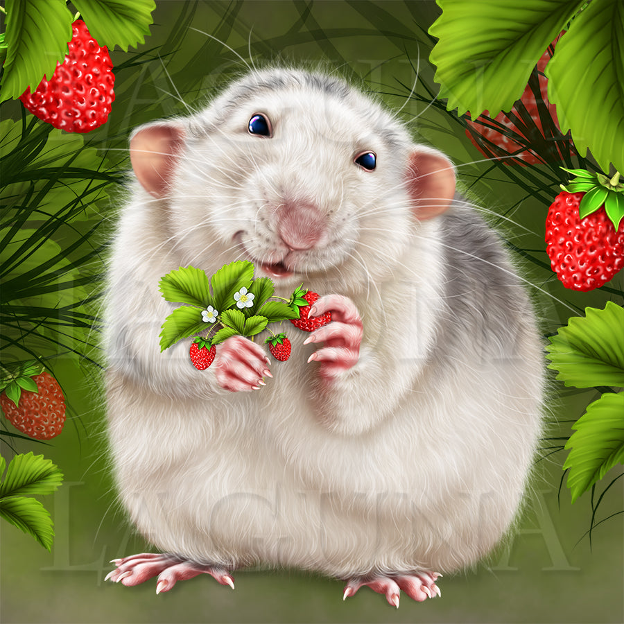Strawberry Rat