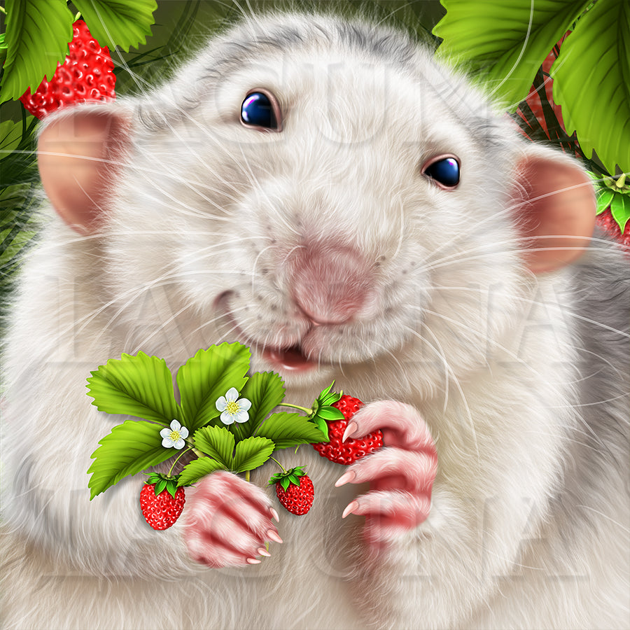 Strawberry Rat