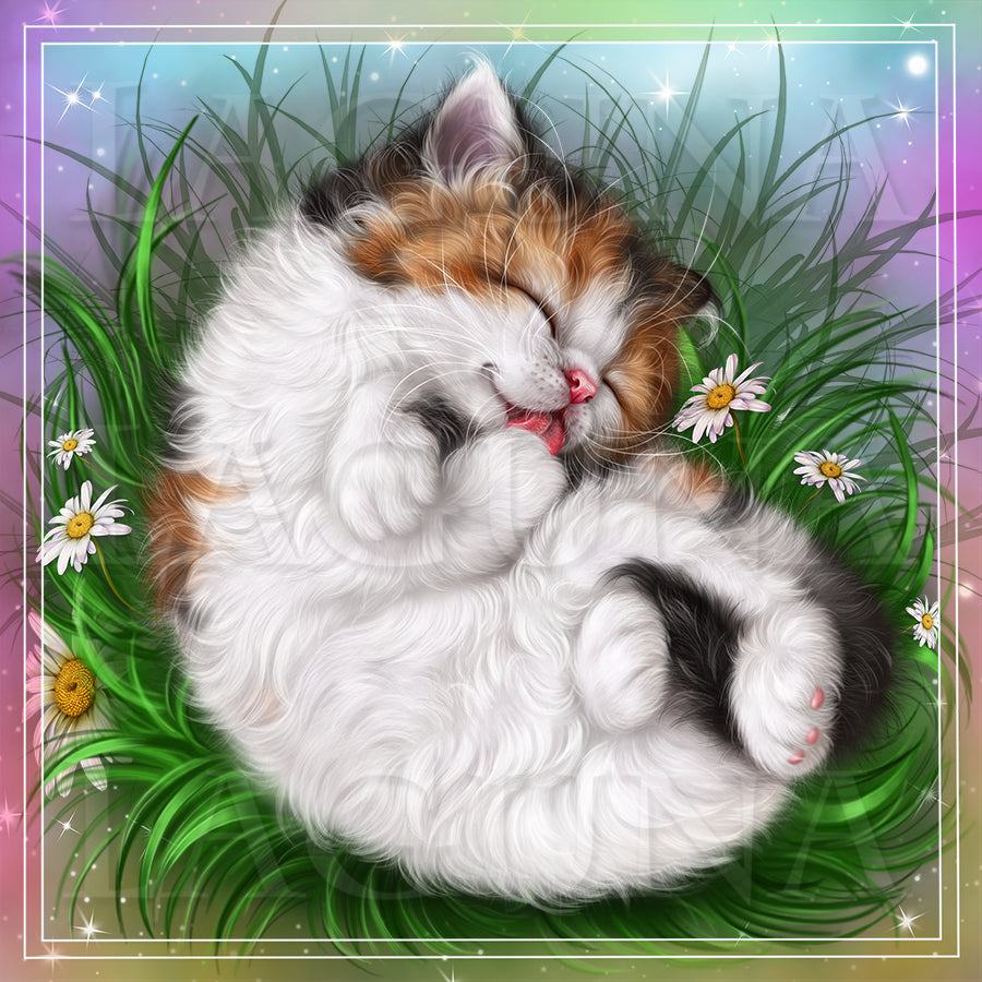 Tasty Paw (Kitty)