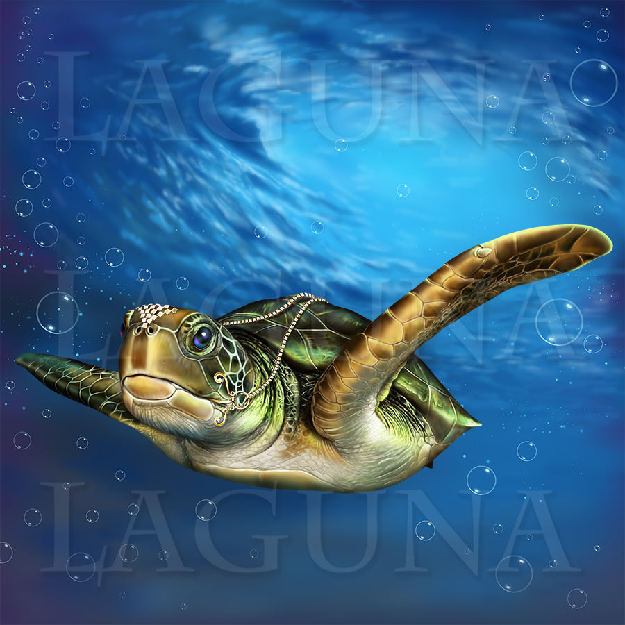 Turtle Ride