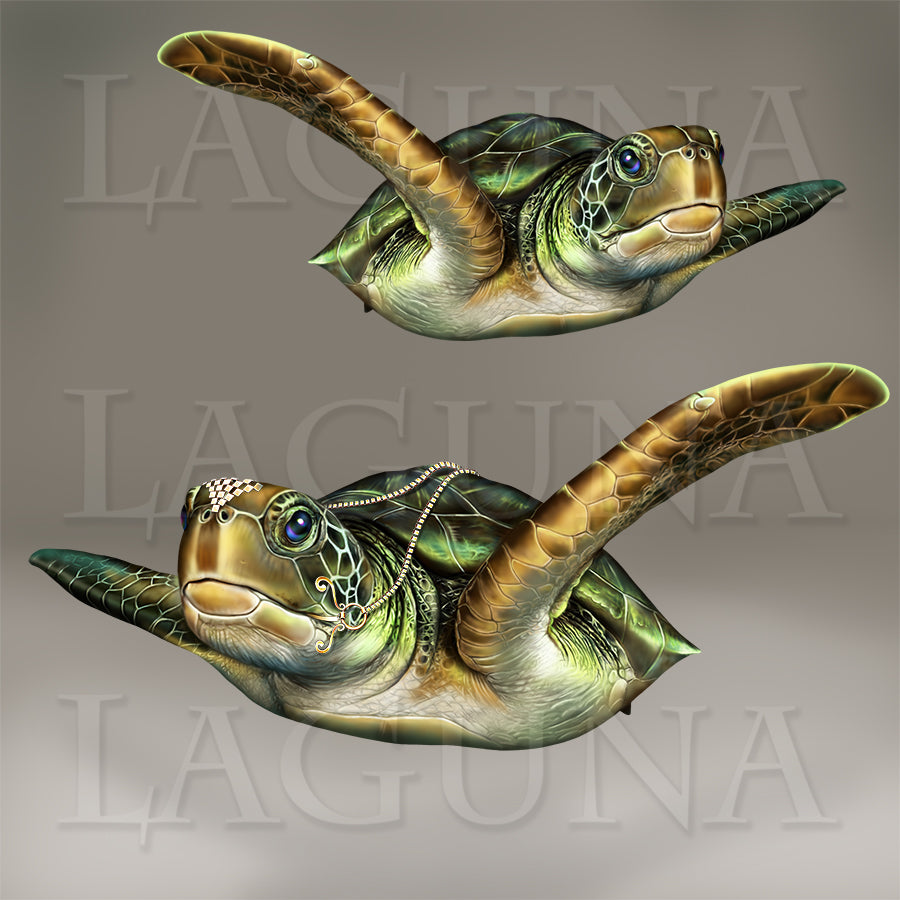 Turtle Ride