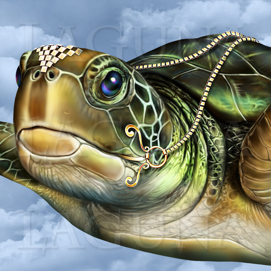 Turtle Ride