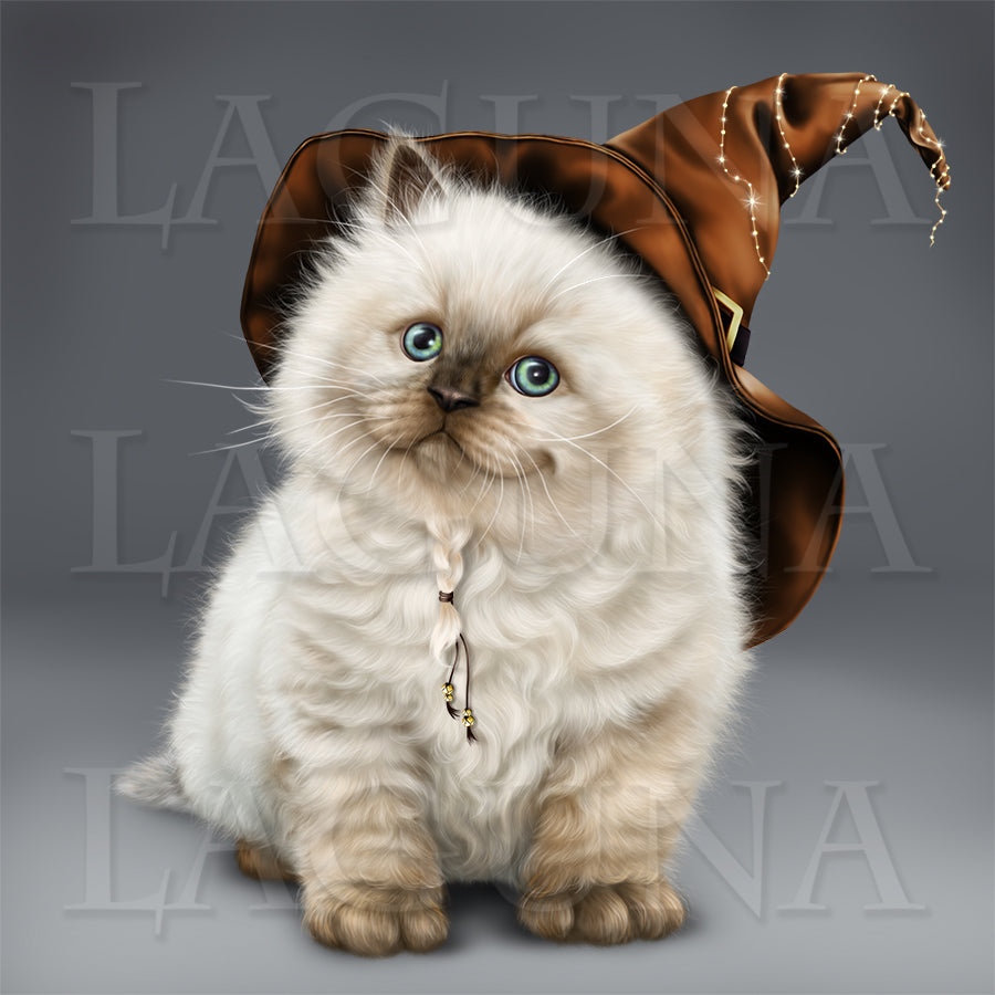 Witch with a British Colorpoint Kitten