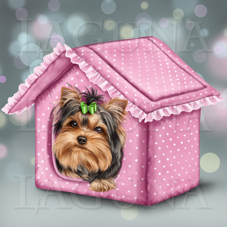 York Puppy