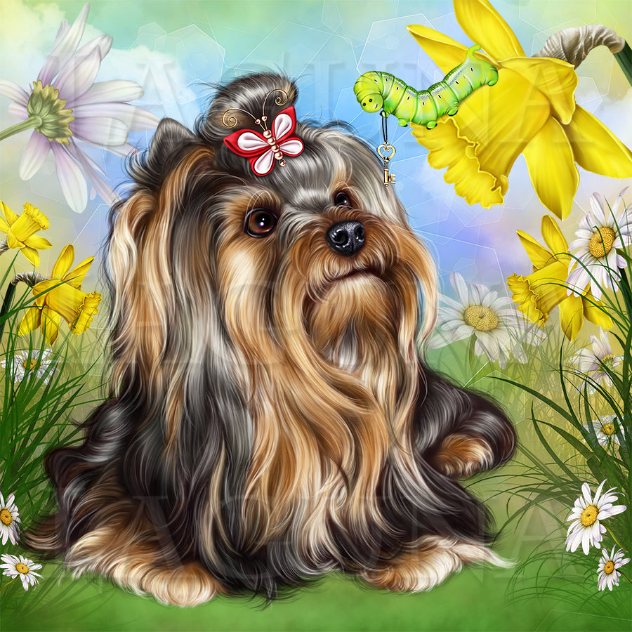 Yorkie and Caterpillar