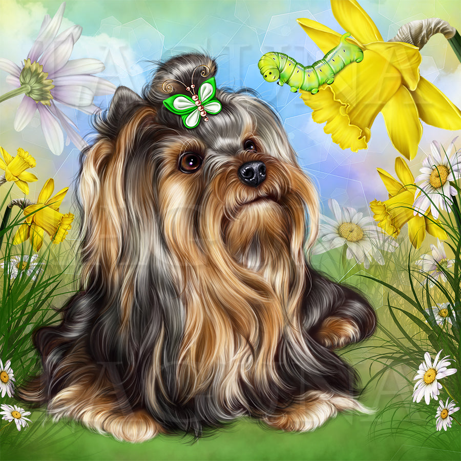 Yorkie and Caterpillar