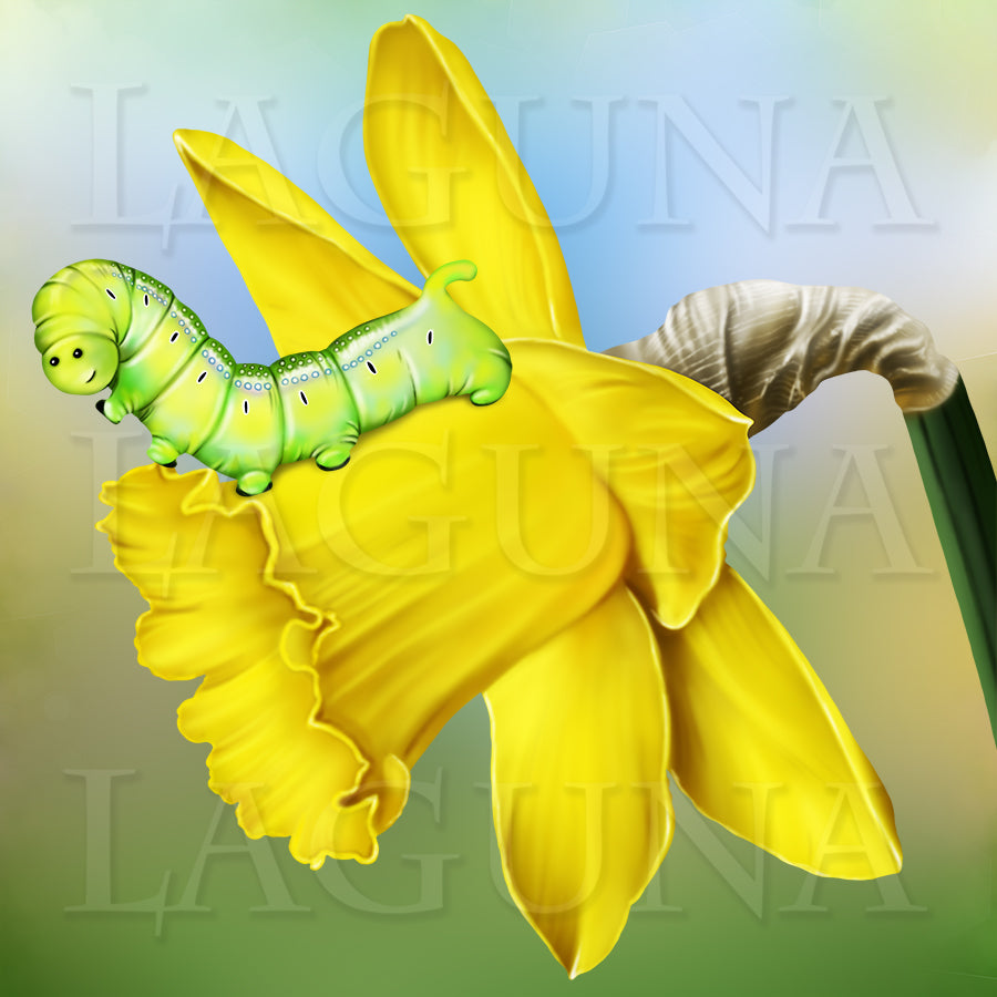 Yorkie and Caterpillar