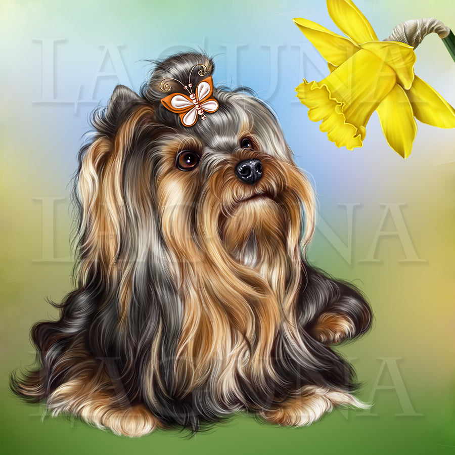Yorkie and Caterpillar