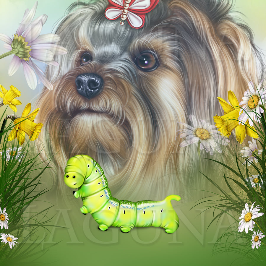 Yorkie and Caterpillar
