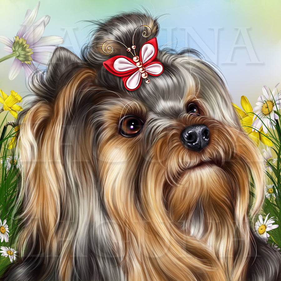 Yorkie and Caterpillar