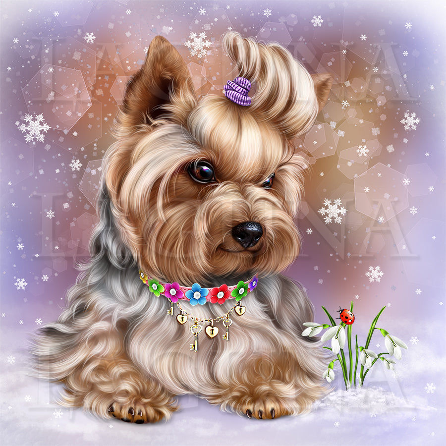 Yorkie and Snowdrops