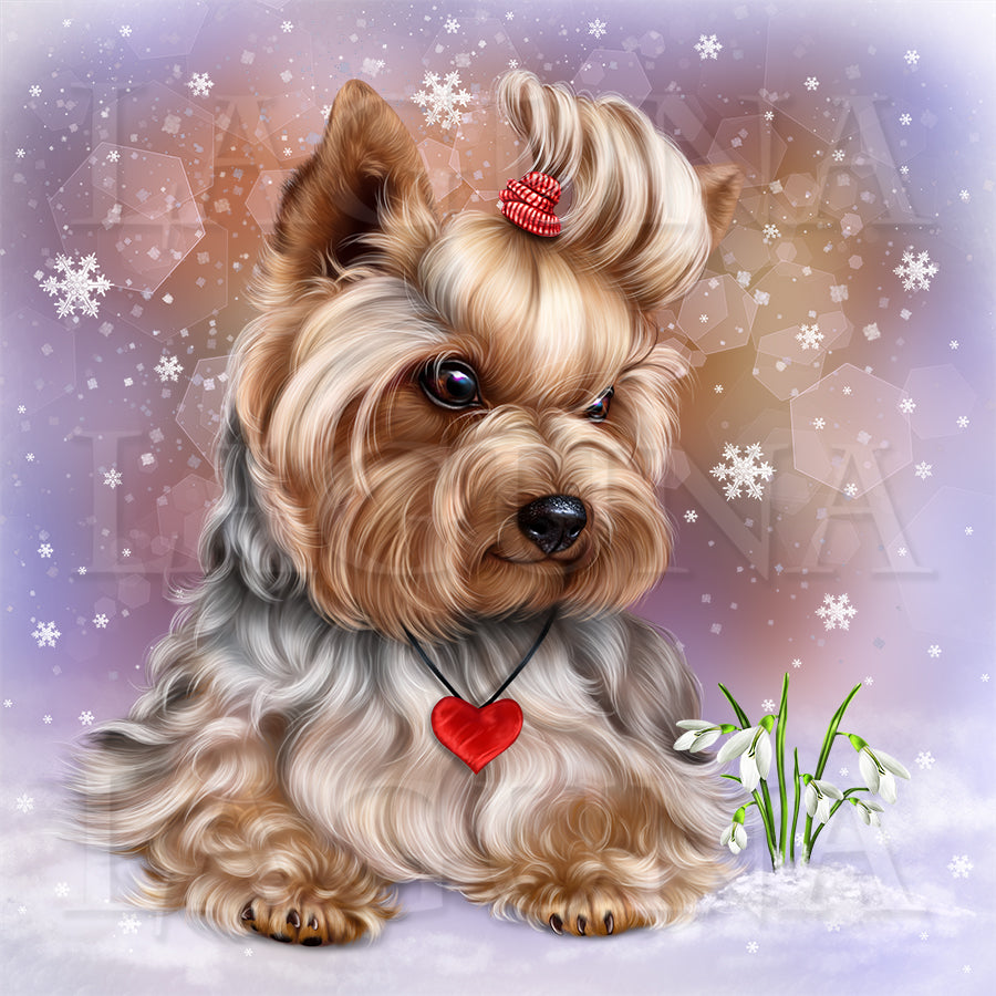 Yorkie and Snowdrops