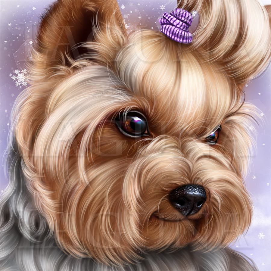 Yorkie and Snowdrops