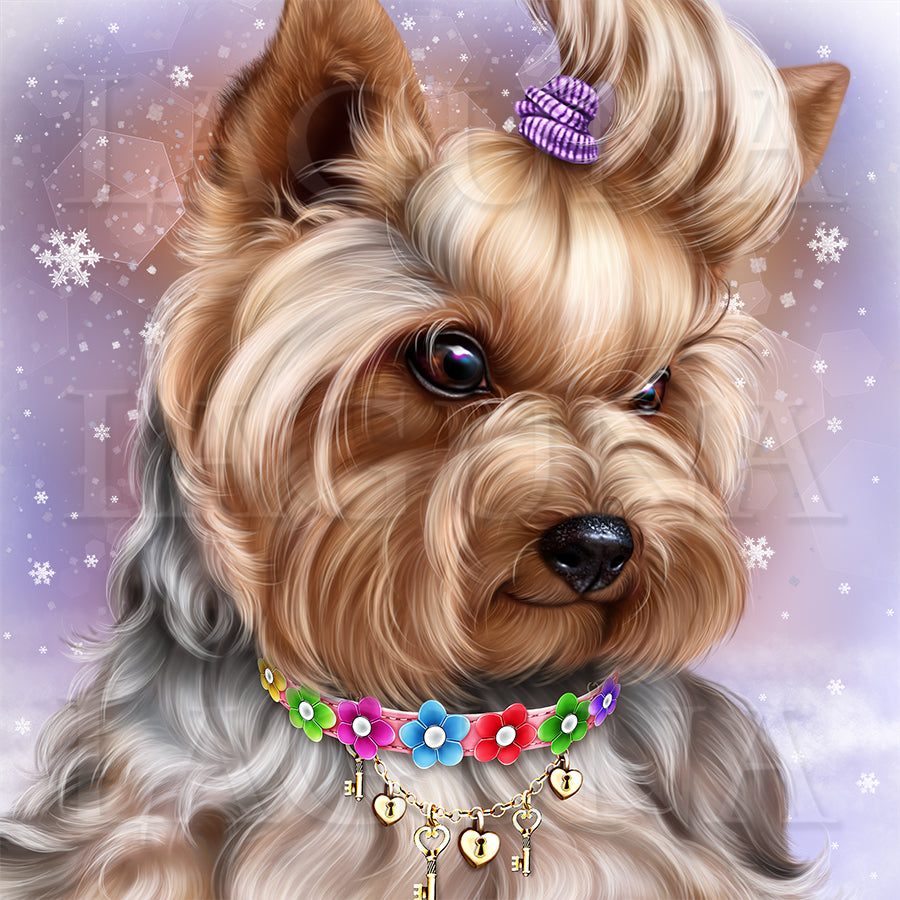 Yorkie and Snowdrops