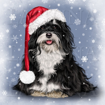 Santa Dog