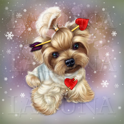 Angel Valentine Yorkie