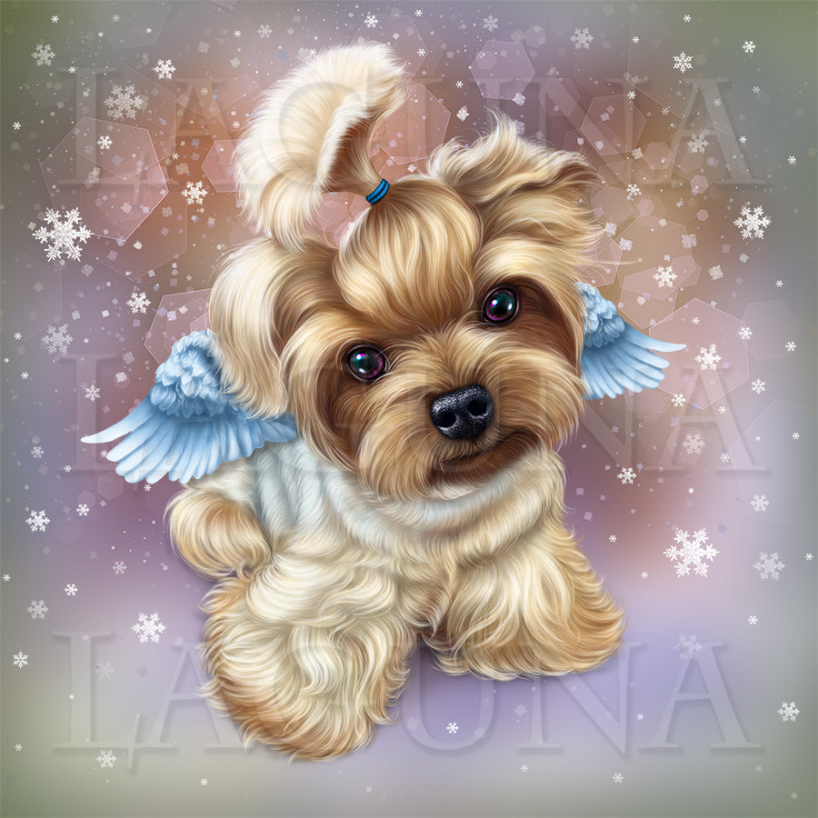 Angel Valentine Yorkie