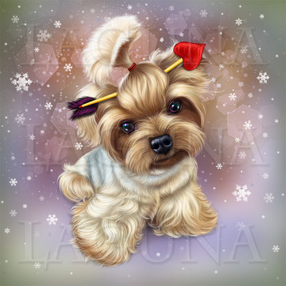 Angel Valentine Yorkie