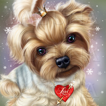 Angel Valentine Yorkie