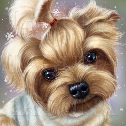 Angel Valentine Yorkie